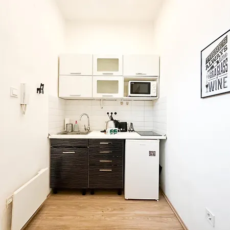 Apartment Spacious Buda Air Conditioning Budapest