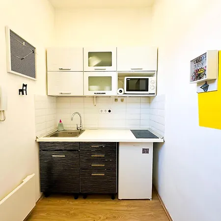 Spacious Buda Air Conditioning Apartment Budapest